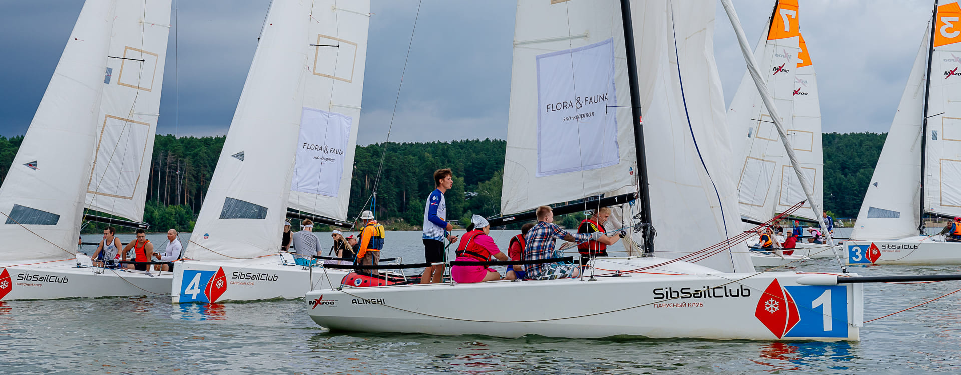 яндекс регата